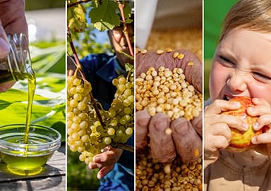 De Grønne Sydhavsøer1