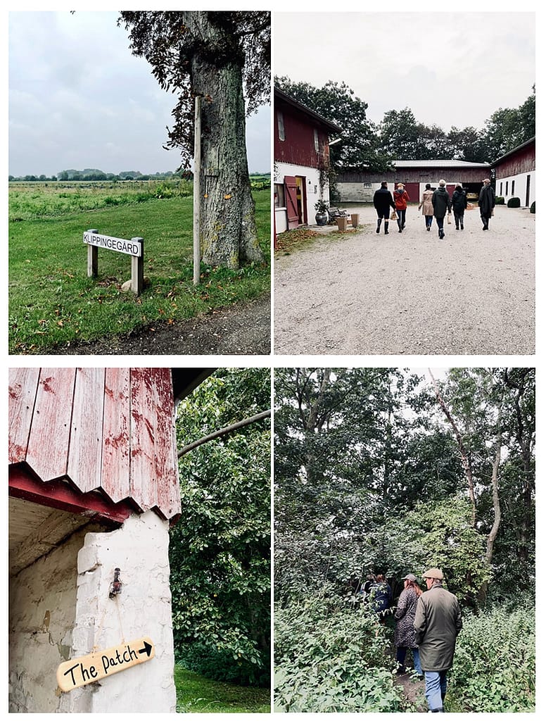 Klippingegård2
